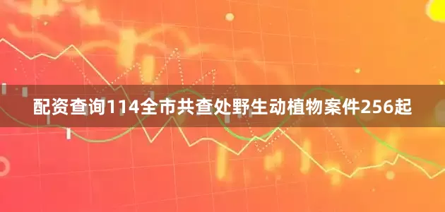 配资查询114全市共查处野生动植物案件256起