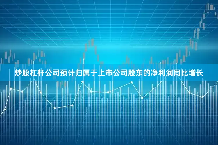 炒股杠杆公司预计归属于上市公司股东的净利润同比增长