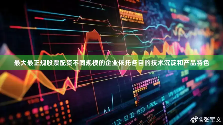 最大最正规股票配资不同规模的企业依托各自的技术沉淀和产品特色