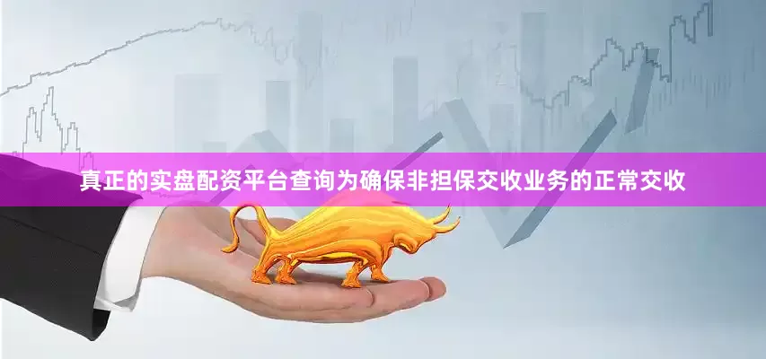 真正的实盘配资平台查询为确保非担保交收业务的正常交收