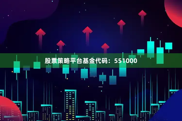 股票策略平台基金代码：551000