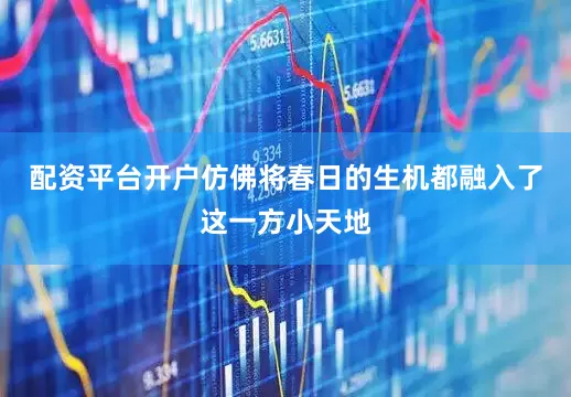 配资平台开户仿佛将春日的生机都融入了这一方小天地