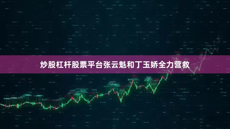 炒股杠杆股票平台张云魁和丁玉娇全力营救