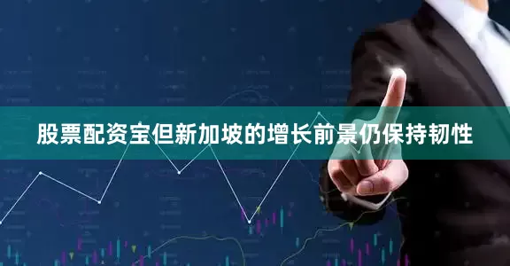 股票配资宝但新加坡的增长前景仍保持韧性